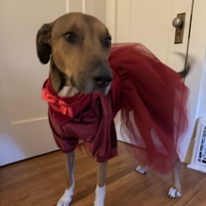 Fundraising Page: Clyde Vandaveer